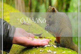 海丰海丰讨债公司服务